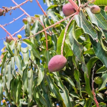 Eslanzarote Sunset, Super Wifi, Sat Tv *