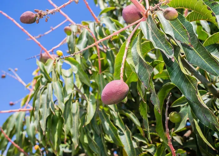 Eslanzarote Sunset, Super Wifi, Sat Tv *